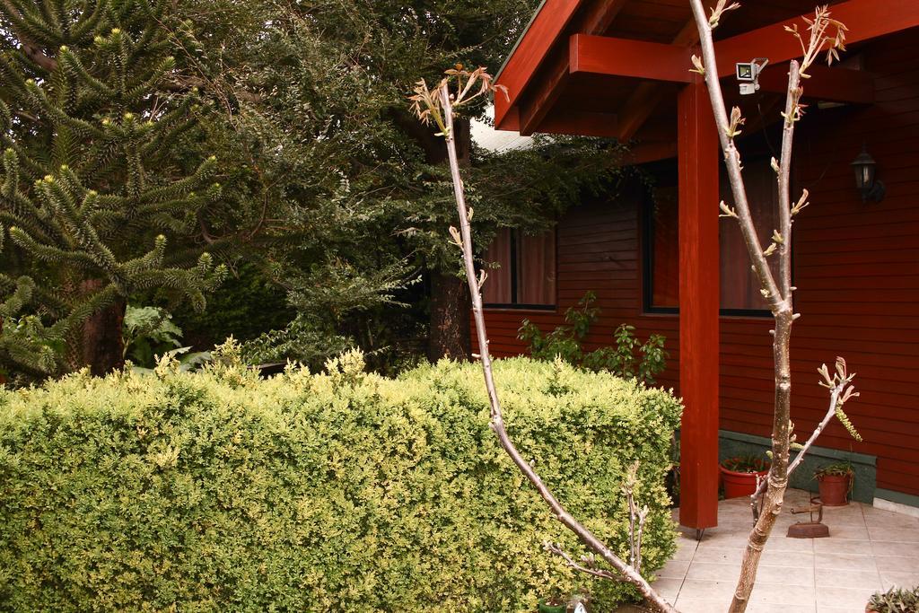 Hostal El Nogal Pucón Exteriör bild